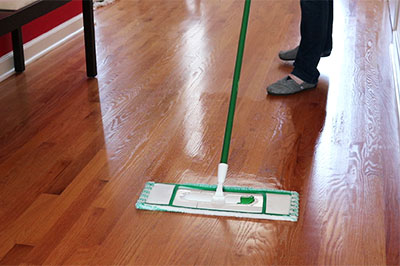 Use a soft or microfiber cloth to remove dirt from hardwood floors