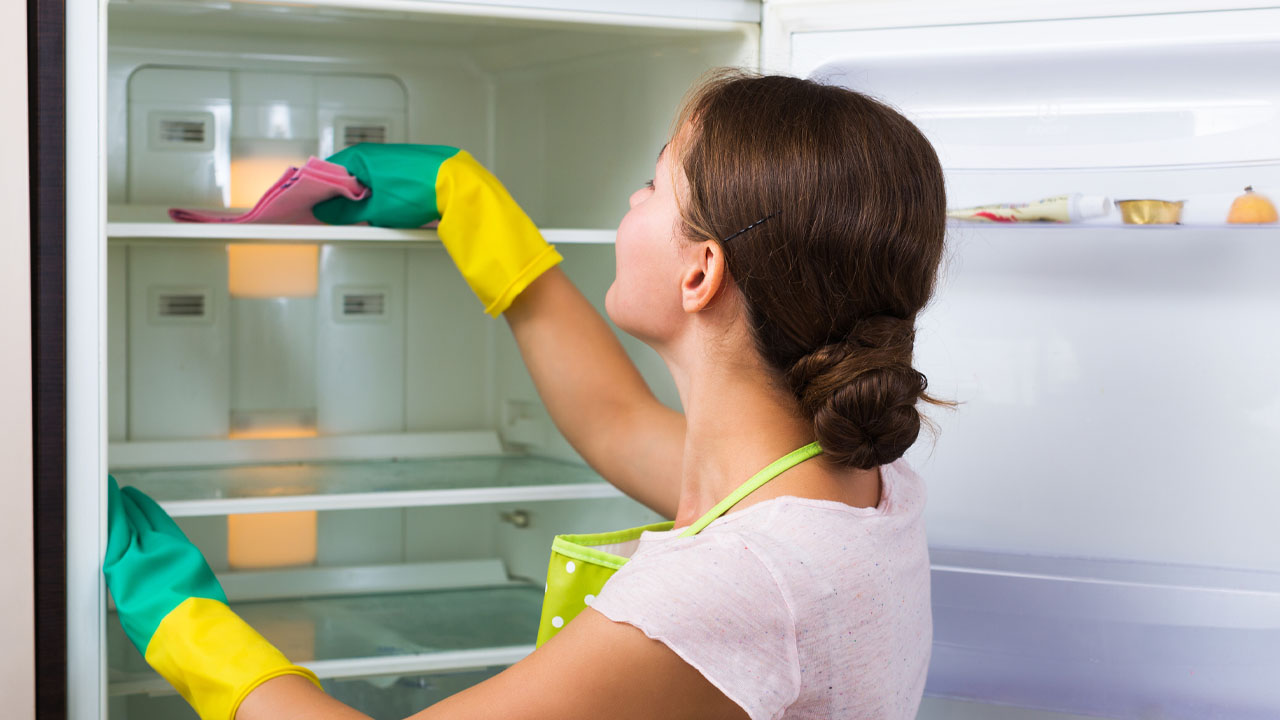 jaws cleaning fridge