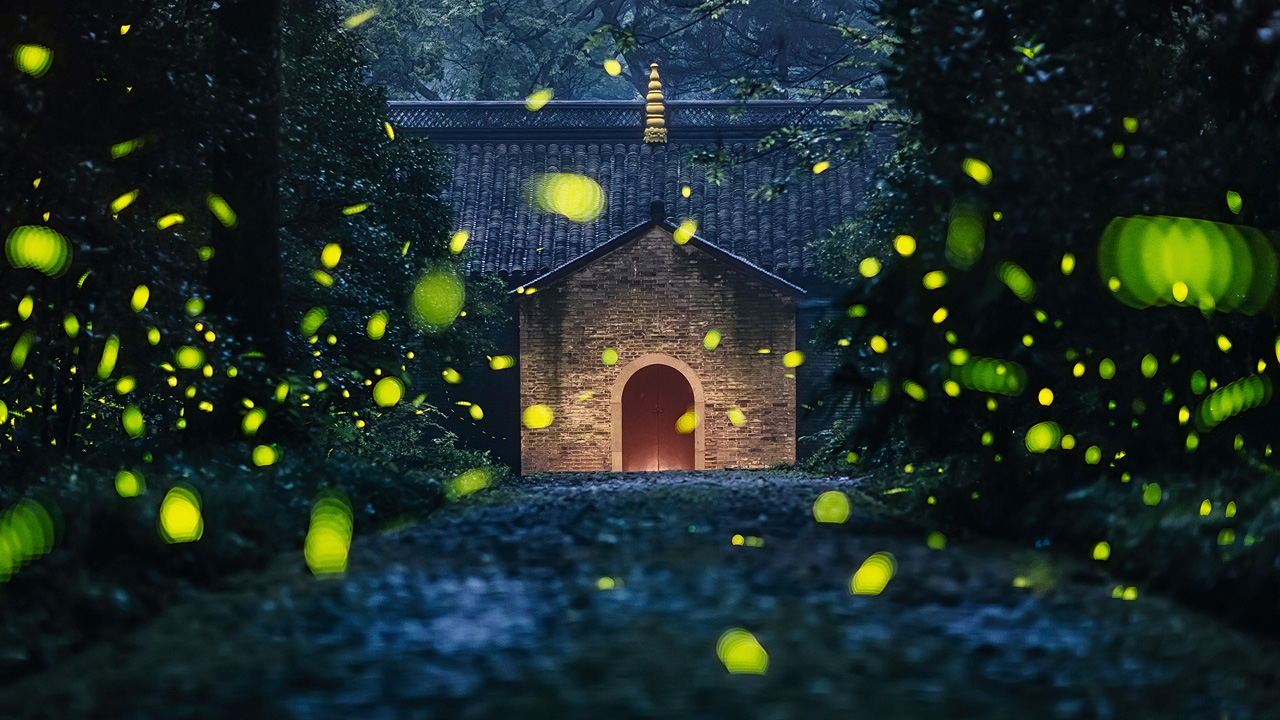 Fireflies Bad Luck